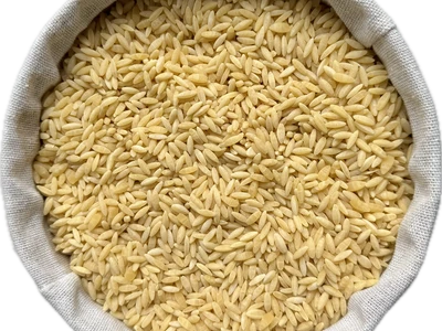 pasta rice big