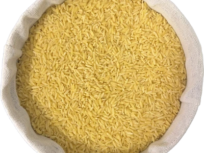 pasta rice